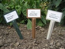 BioMarkers