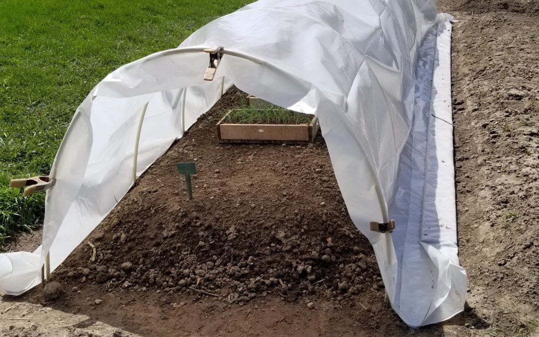 April Garden