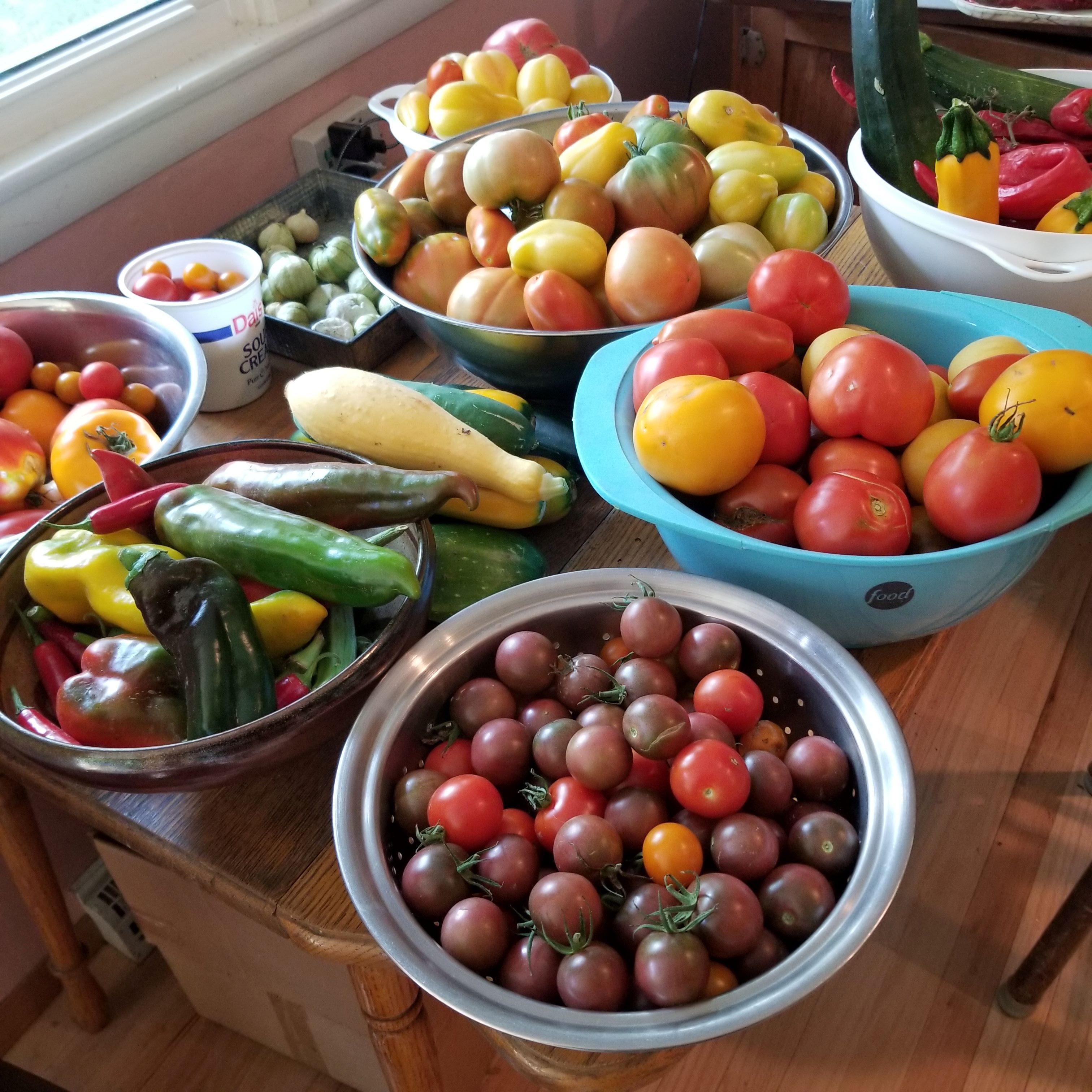 August Garden